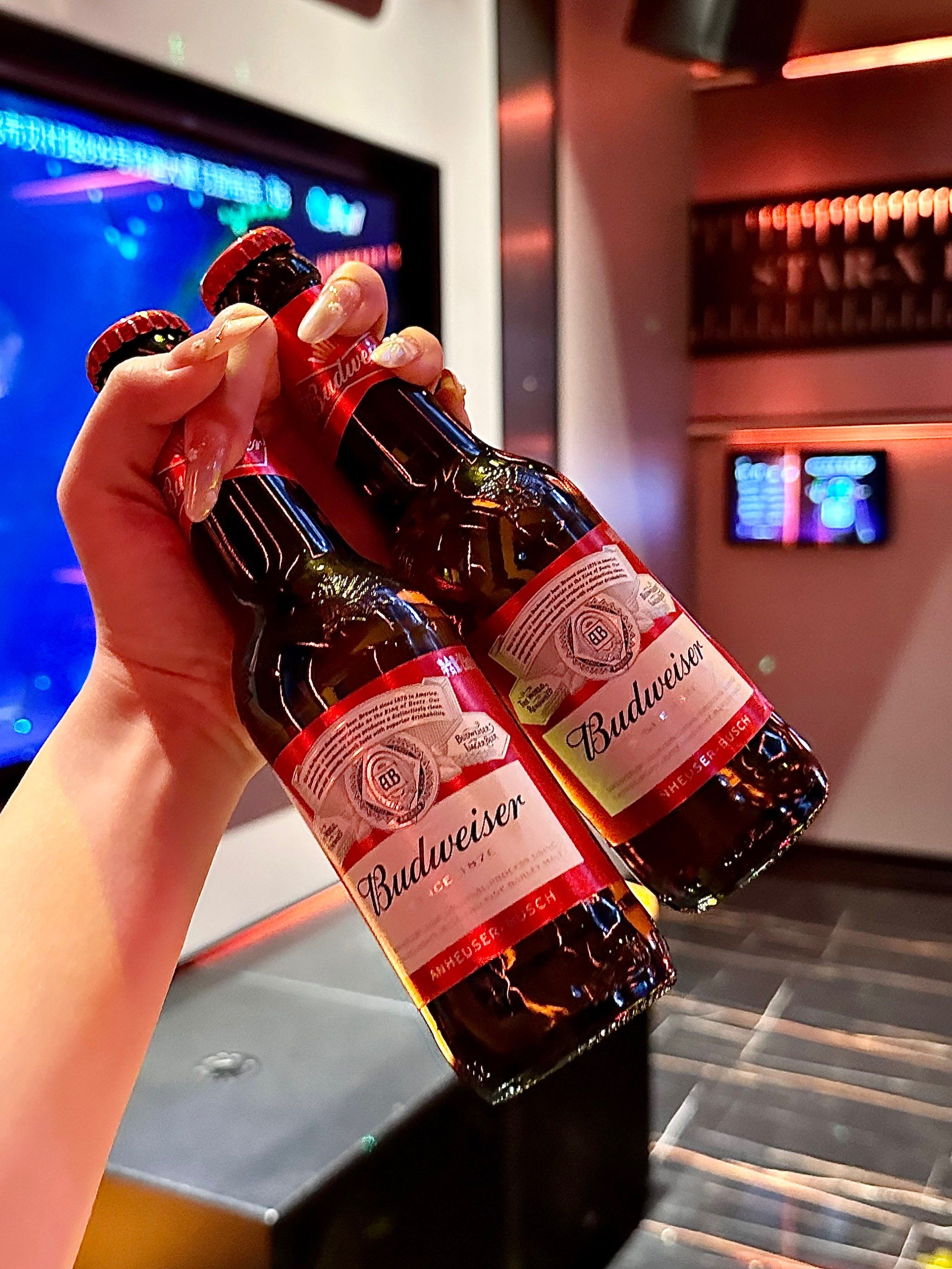 邢台商务ktv一小时价格-新河县ktv预定